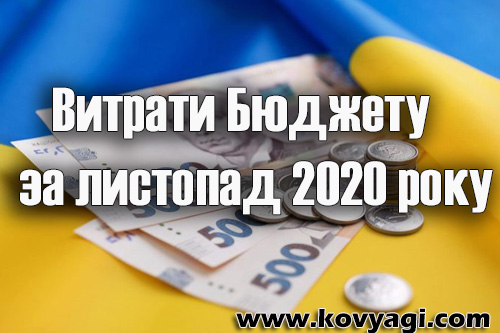 Витрати бюджету Ковяг за листопад 2020 року