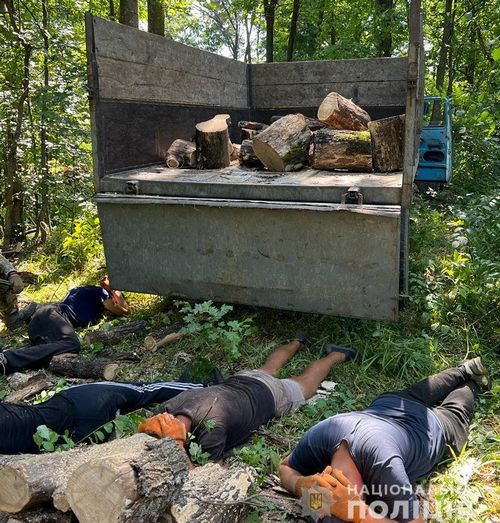 Поліцейські викрили групу осіб у незаконній порубці деревини  в Старих Валках