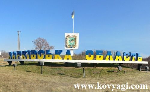 Топ-5 самых богатых глав районов в Харьковской области