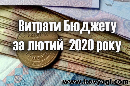Витрати бюджету Ковяг за лютий 2020 року